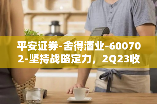 平安证券-舍得酒业-600702-坚持战略定力，2Q23收入环比改善-230820