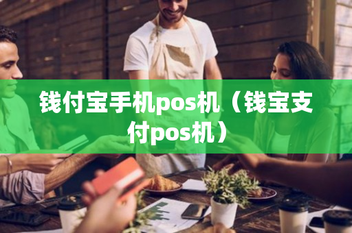 钱付宝手机pos机（钱宝支付pos机）