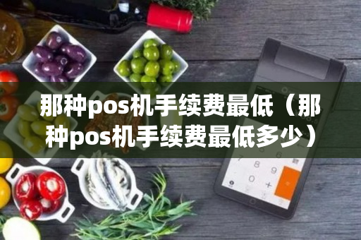 那种pos机手续费最低（那种pos机手续费最低多少）