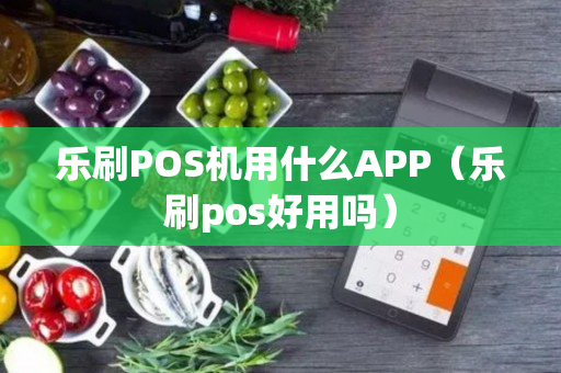 乐刷POS机用什么APP（乐刷pos好用吗）