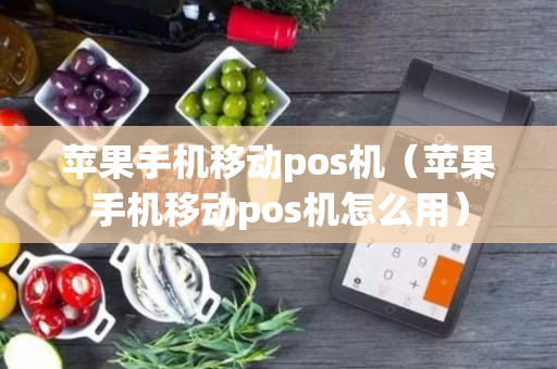 苹果手机移动pos机（苹果手机移动pos机怎么用）