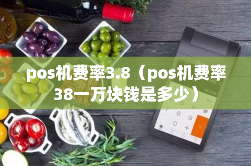 pos机费率3.8（pos机费率38一万块钱是多少）