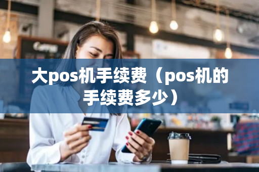 大pos机手续费（pos机的手续费多少）