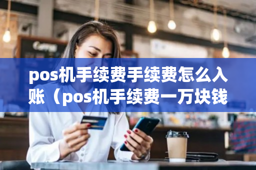 pos机手续费手续费怎么入账（pos机手续费一万块钱手续费）