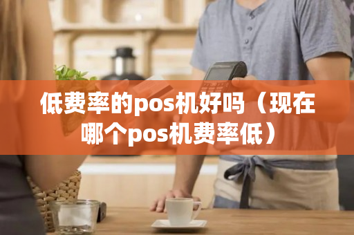 低费率的pos机好吗（现在哪个pos机费率低）