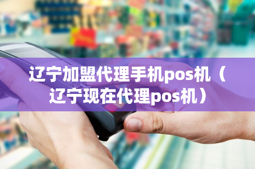 辽宁加盟代理手机pos机（辽宁现在代理pos机）