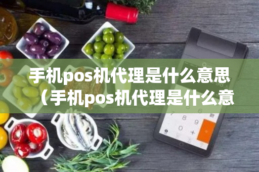 手机pos机代理是什么意思（手机pos机代理是什么意思啊）