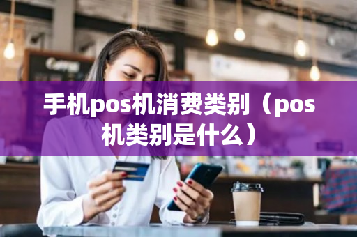 手机pos机消费类别（pos机类别是什么）