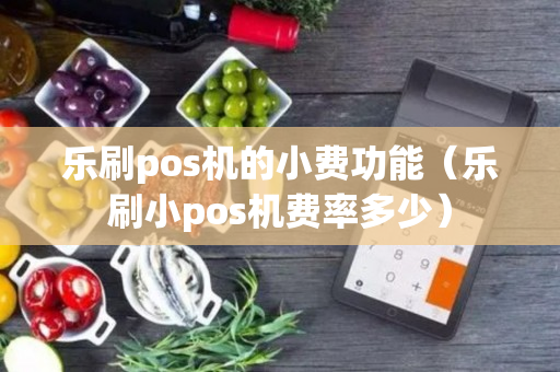 乐刷pos机的小费功能（乐刷小pos机费率多少）