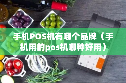 手机POS机有哪个品牌（手机用的pos机哪种好用）