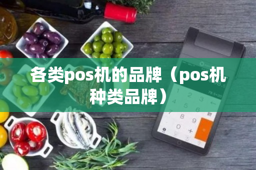 各类pos机的品牌（pos机种类品牌）