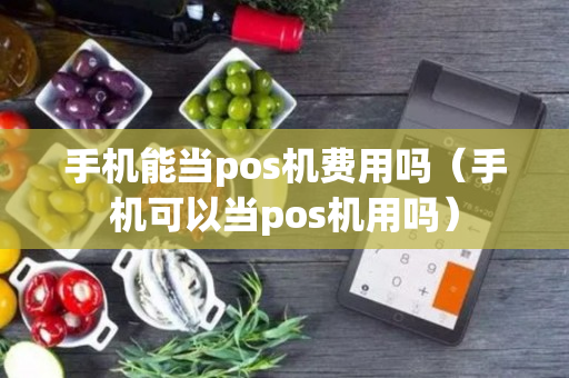 手机能当pos机费用吗（手机可以当pos机用吗）