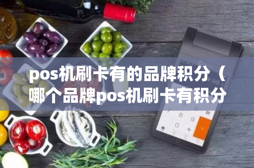 pos机刷卡有的品牌积分（哪个品牌pos机刷卡有积分）