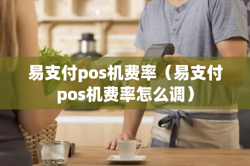 易支付pos机费率（易支付pos机费率怎么调）