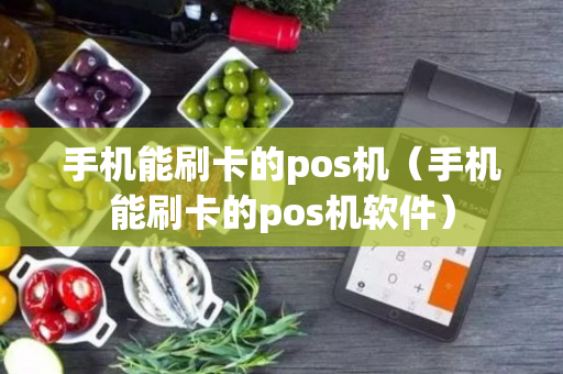 手机能刷卡的pos机（手机能刷卡的pos机软件）