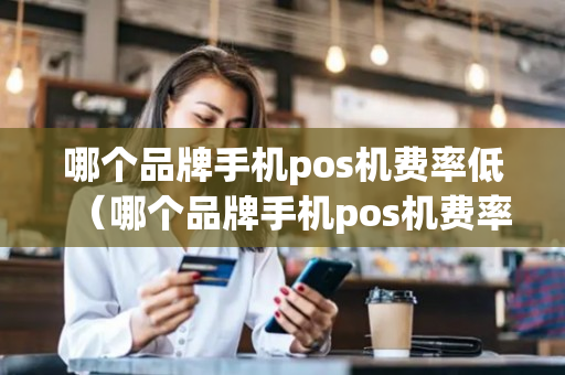 哪个品牌手机pos机费率低（哪个品牌手机pos机费率低一点）