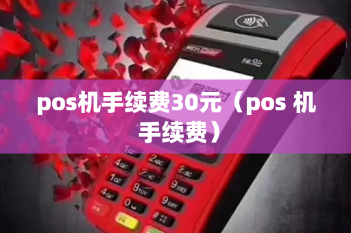 pos机手续费30元（pos 机 手续费）