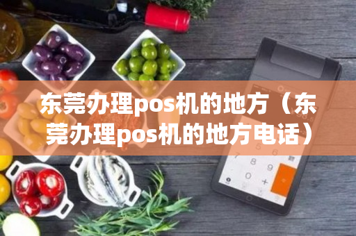 东莞办理pos机的地方（东莞办理pos机的地方电话）