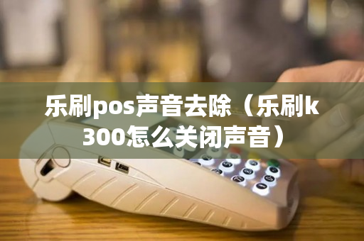 乐刷pos声音去除（乐刷k300怎么关闭声音）