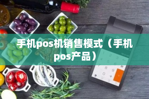 手机pos机销售模式（手机pos产品）