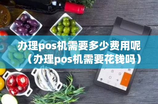 办理pos机需要多少费用呢（办理pos机需要花钱吗）