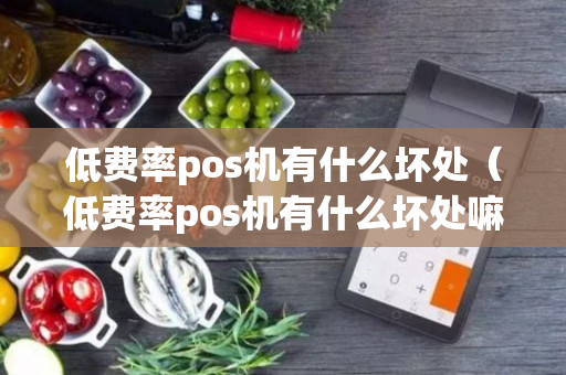 低费率pos机有什么坏处（低费率pos机有什么坏处嘛）