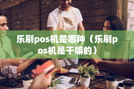 乐刷pos机是哪种（乐刷pos机是干嘛的）