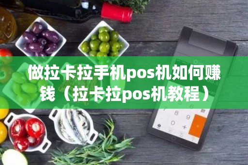 做拉卡拉手机pos机如何赚钱（拉卡拉pos机教程）