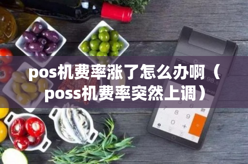 pos机费率涨了怎么办啊（poss机费率突然上调）