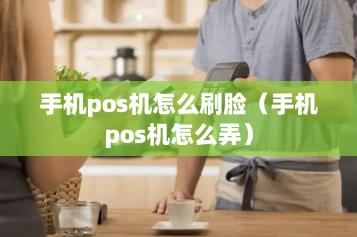 手机pos机怎么刷脸（手机pos机怎么弄）