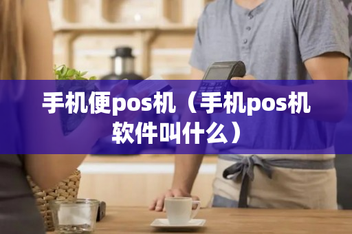 手机便pos机（手机pos机软件叫什么）