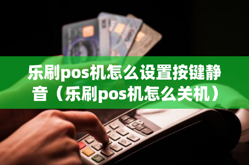 乐刷pos机怎么设置按键静音（乐刷pos机怎么关机）