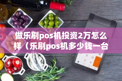 做乐刷pos机投资2万怎么样（乐刷pos机多少钱一台代理）