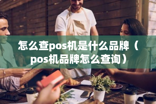 怎么查pos机是什么品牌（pos机品牌怎么查询）