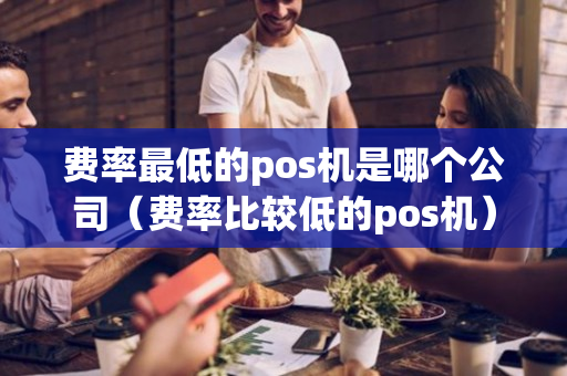 费率最低的pos机是哪个公司（费率比较低的pos机）