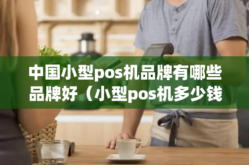 中国小型pos机品牌有哪些品牌好（小型pos机多少钱一台）