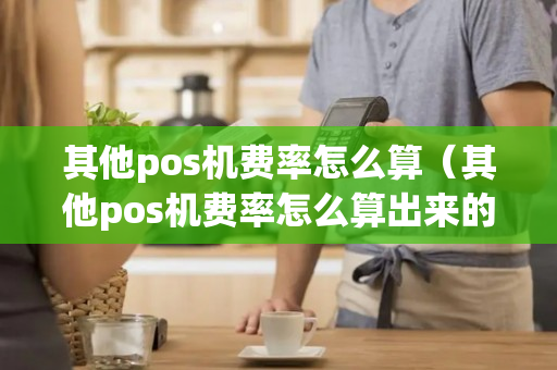 其他pos机费率怎么算（其他pos机费率怎么算出来的）