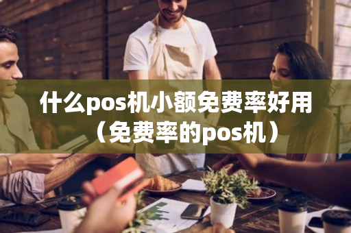 什么pos机小额免费率好用（免费率的pos机）