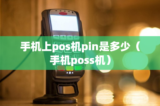 手机上pos机pin是多少（手机poss机）