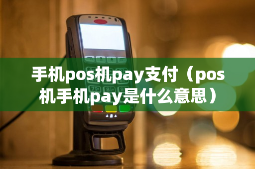 手机pos机pay支付（pos机手机pay是什么意思）