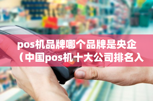 pos机品牌哪个品牌是央企（中国pos机十大公司排名入手哪家pos机好）