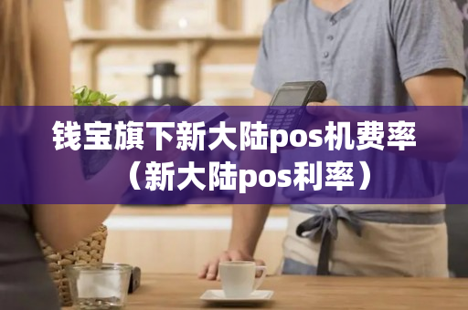 钱宝旗下新大陆pos机费率（新大陆pos利率）