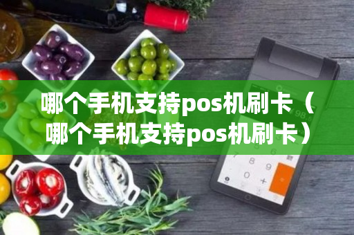 哪个手机支持pos机刷卡（哪个手机支持pos机刷卡）