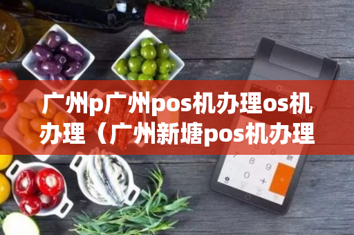 广州p广州pos机办理os机办理（广州新塘pos机办理公司）