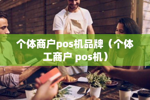 个体商户pos机品牌（个体工商户 pos机）