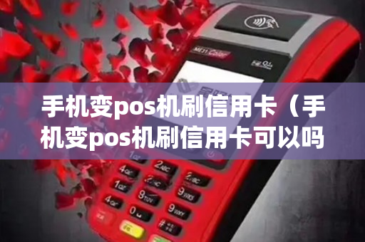 手机变pos机刷信用卡（手机变pos机刷信用卡可以吗）