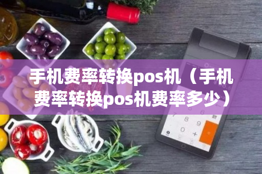 手机费率转换pos机（手机费率转换pos机费率多少）