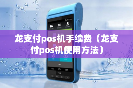 龙支付pos机手续费（龙支付pos机使用方法）