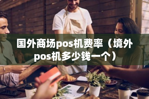 国外商场pos机费率（境外pos机多少钱一个）