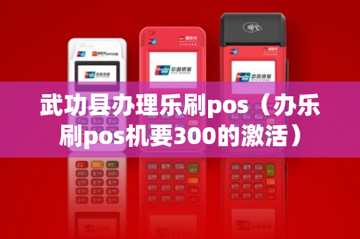 武功县办理乐刷pos（办乐刷pos机要300的激活）